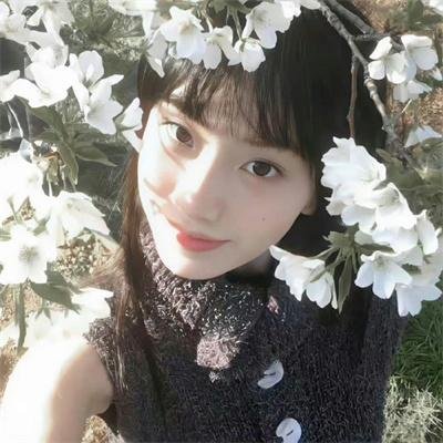 摩斯探长第八季